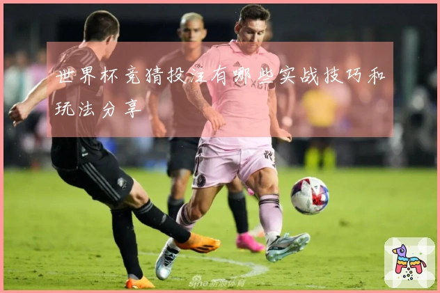 世界杯竞猜投注有哪些实战技巧和玩法分享