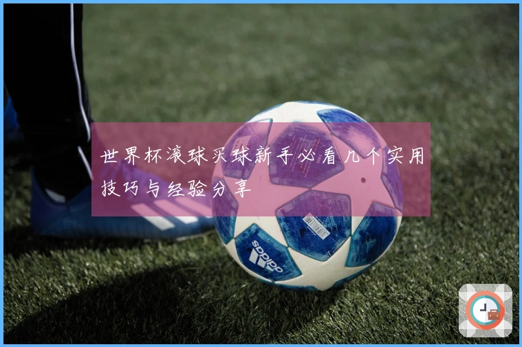 世界杯滚球买球新手必看几个实用技巧与经验分享