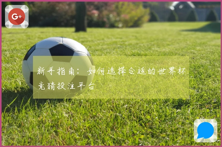 新手指南：如何选择合适的世界杯竞猜投注平台