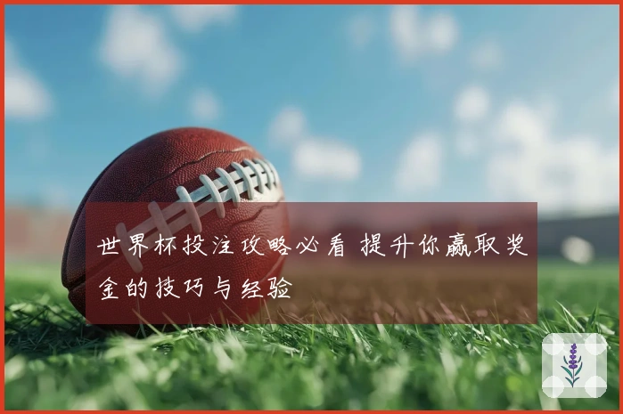 世界杯投注攻略必看 提升你赢取奖金的技巧与经验